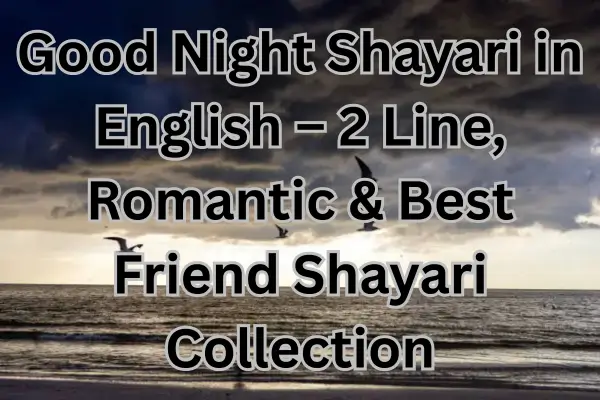good-night-shayari-in-english