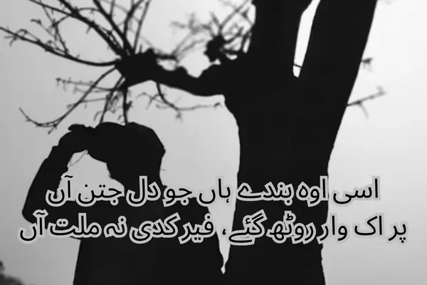 punjabi-attitude shayari