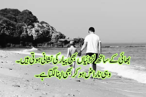 brother-shayari-in-english