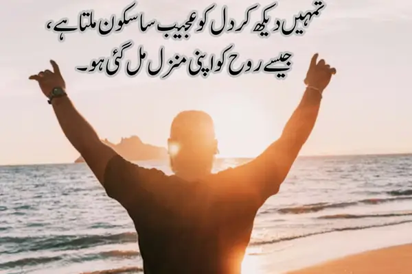 love-shayari-for-girlfriend-in-hindi