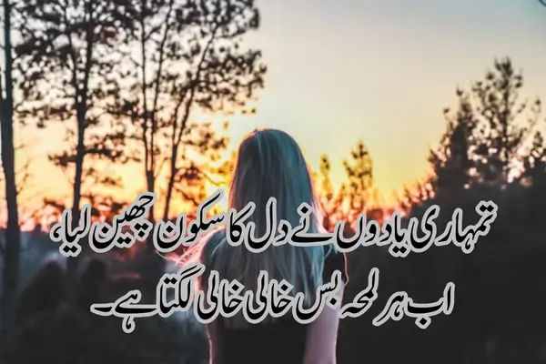 love-shayari-for-girlfriend-in-hindi